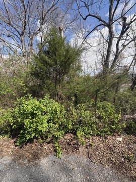 Residential Land in Historic Etowah