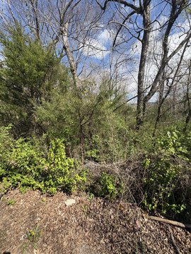 Residential Land in Historic Etowah