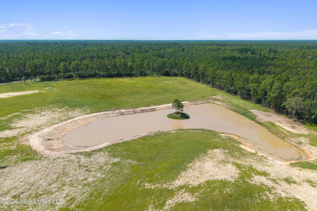 Picture 30