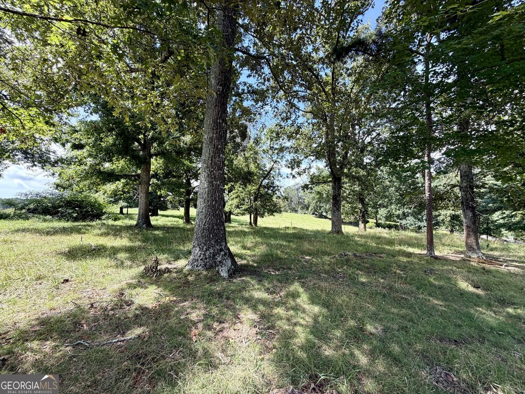 Picture 7