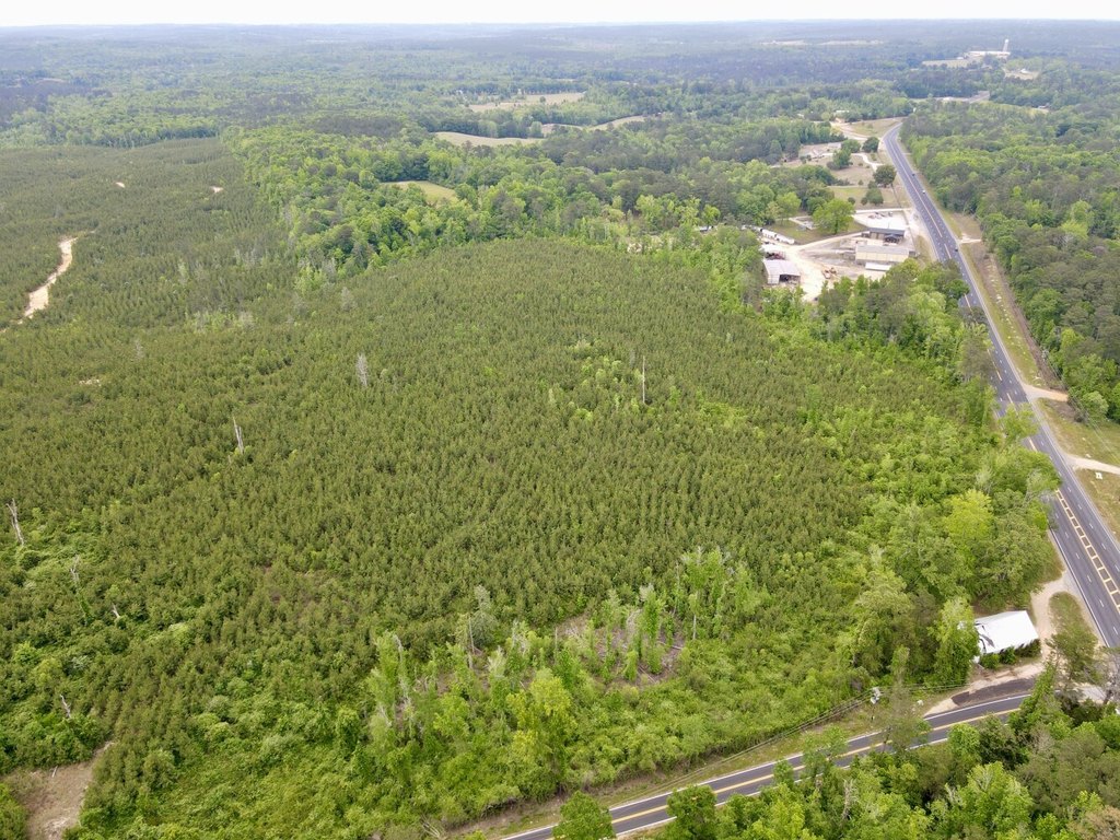 Picture 10