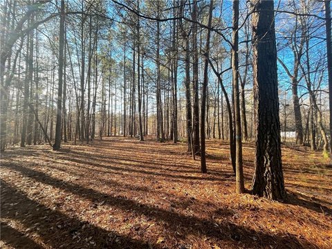 LAND - Acworth, GA