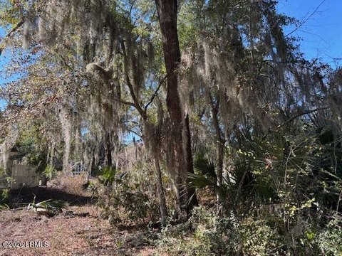 LAND - St. Helena Island, SC