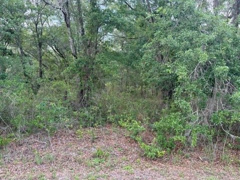 Residential Homesite with Paved Frontage
