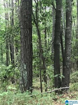 Build-Restricted Residential Lot