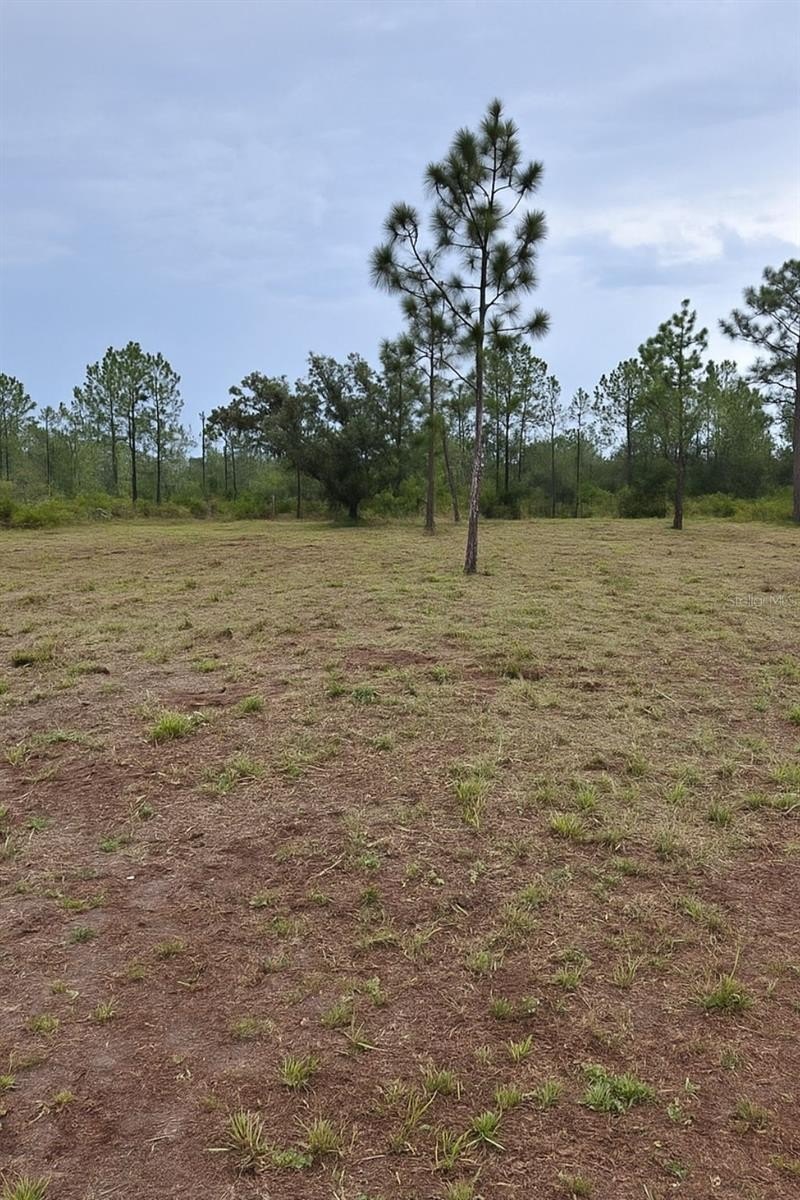 Residential Lot in Gated Community