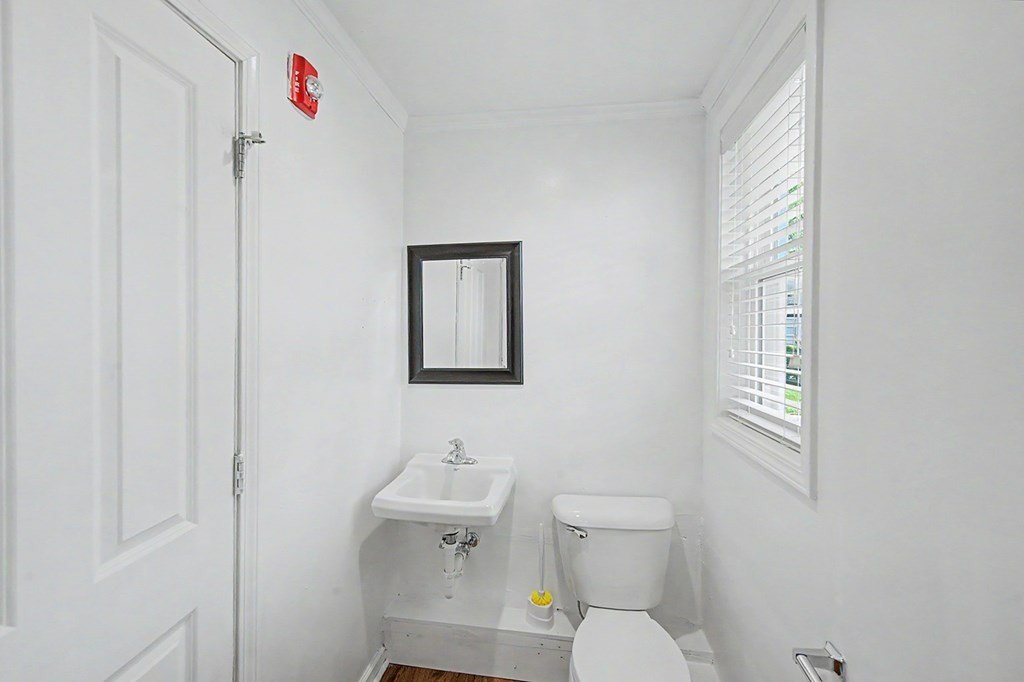 Picture 18