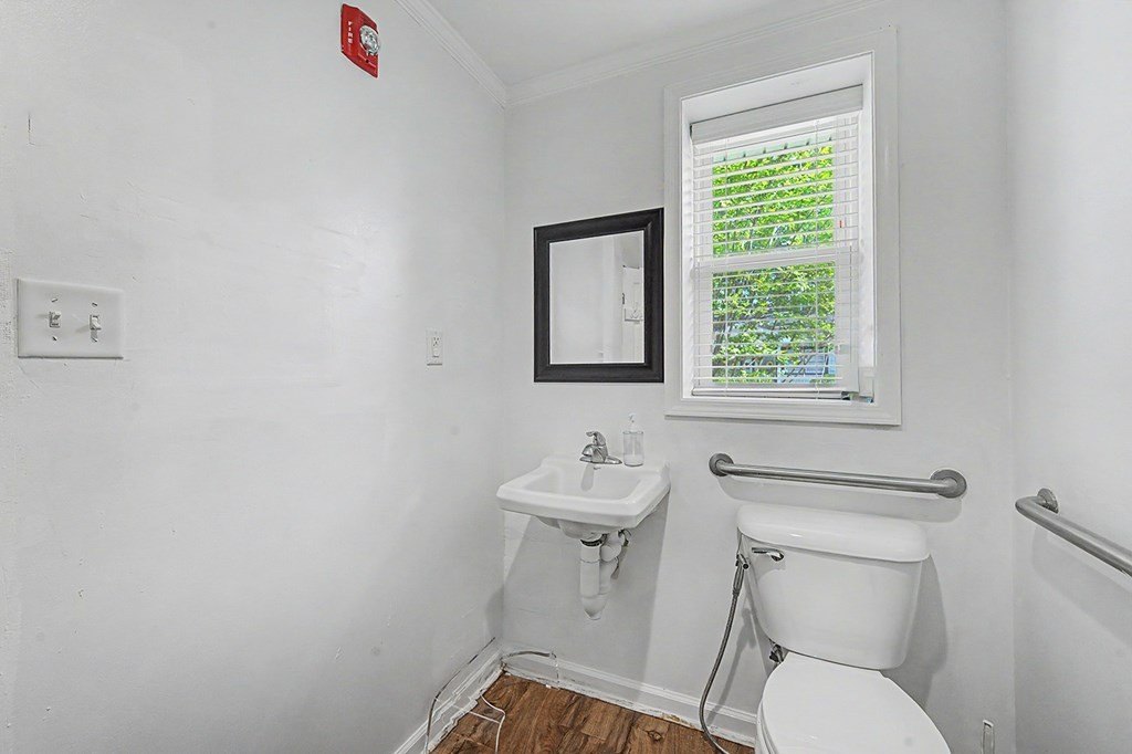Picture 15