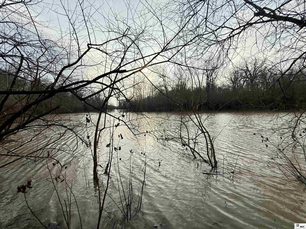 Picture 7