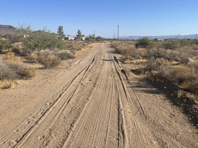 Picture 14