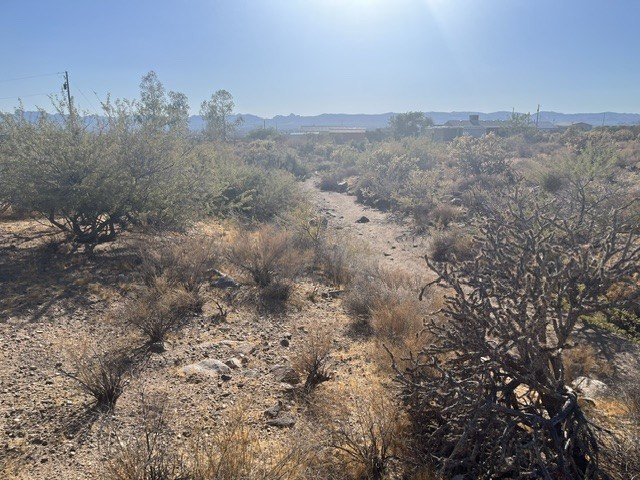 Picture 5