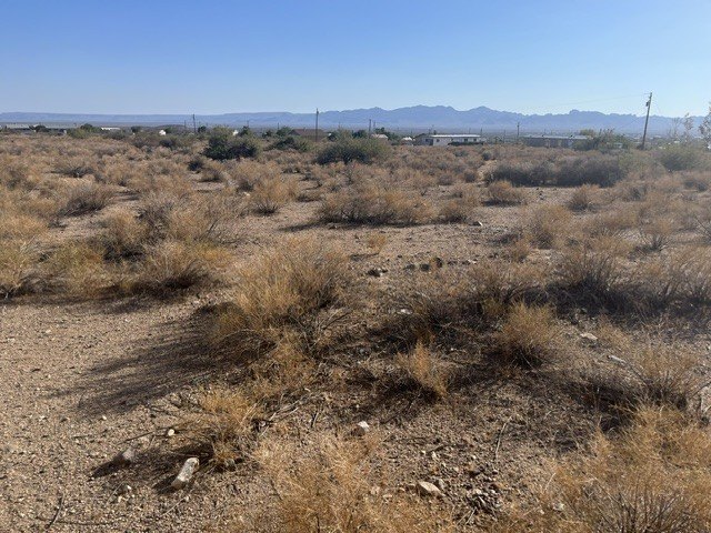 Picture 2