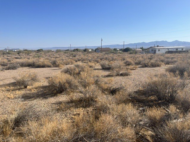 Picture 11