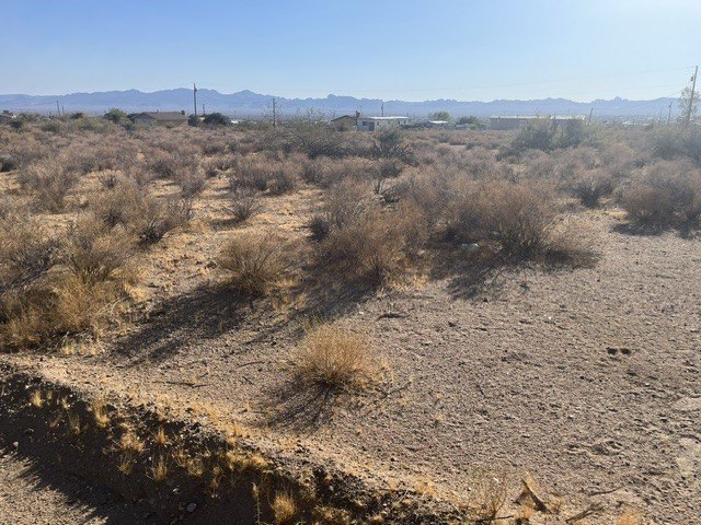 Picture 13