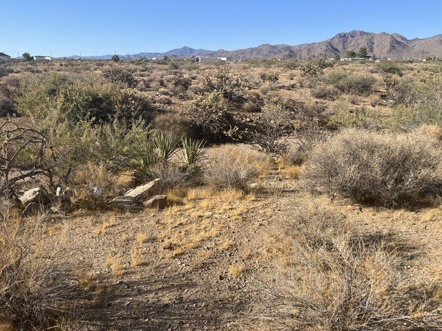 Picture 6
