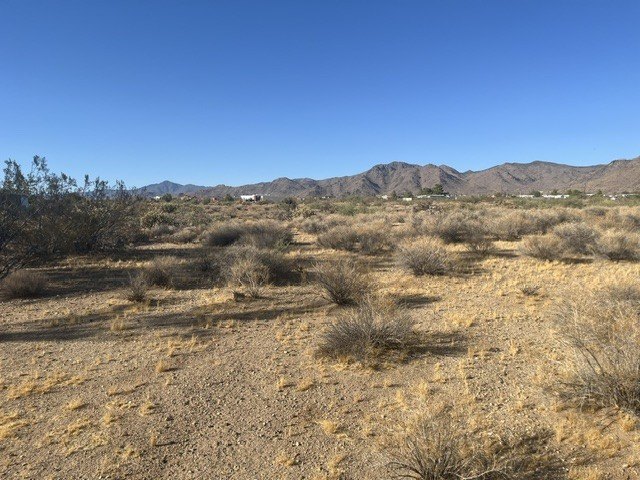 Picture 9