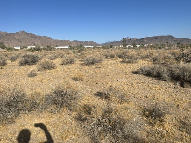 Picture 10