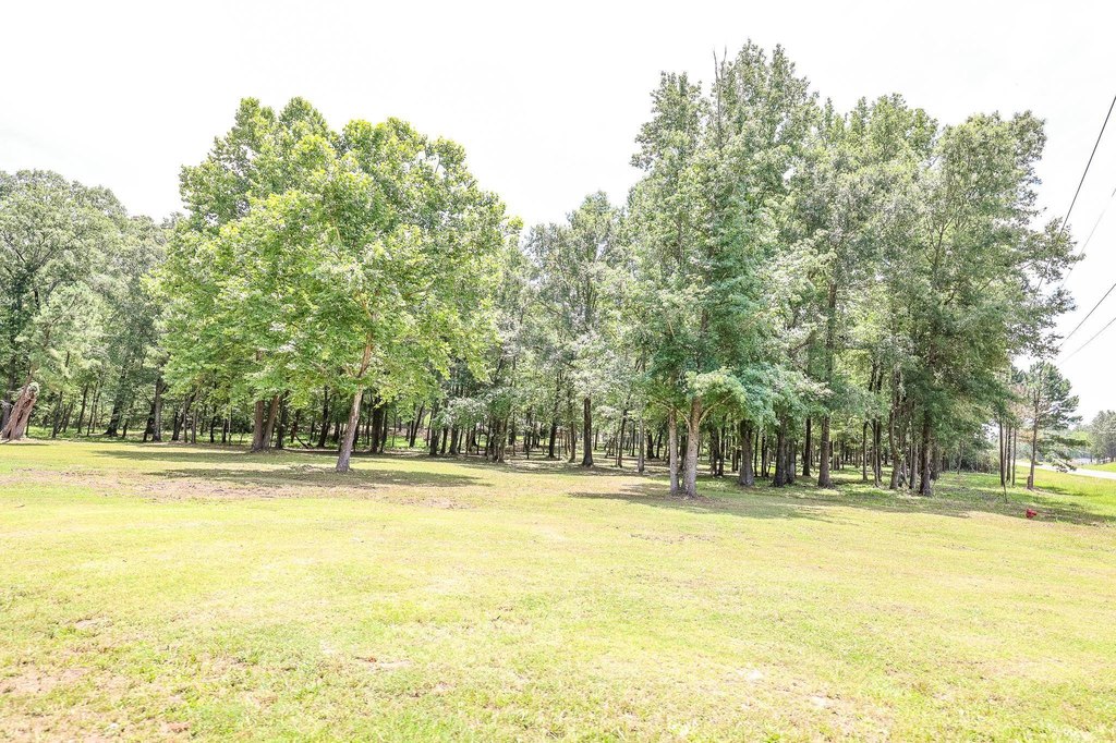 Picture 19
