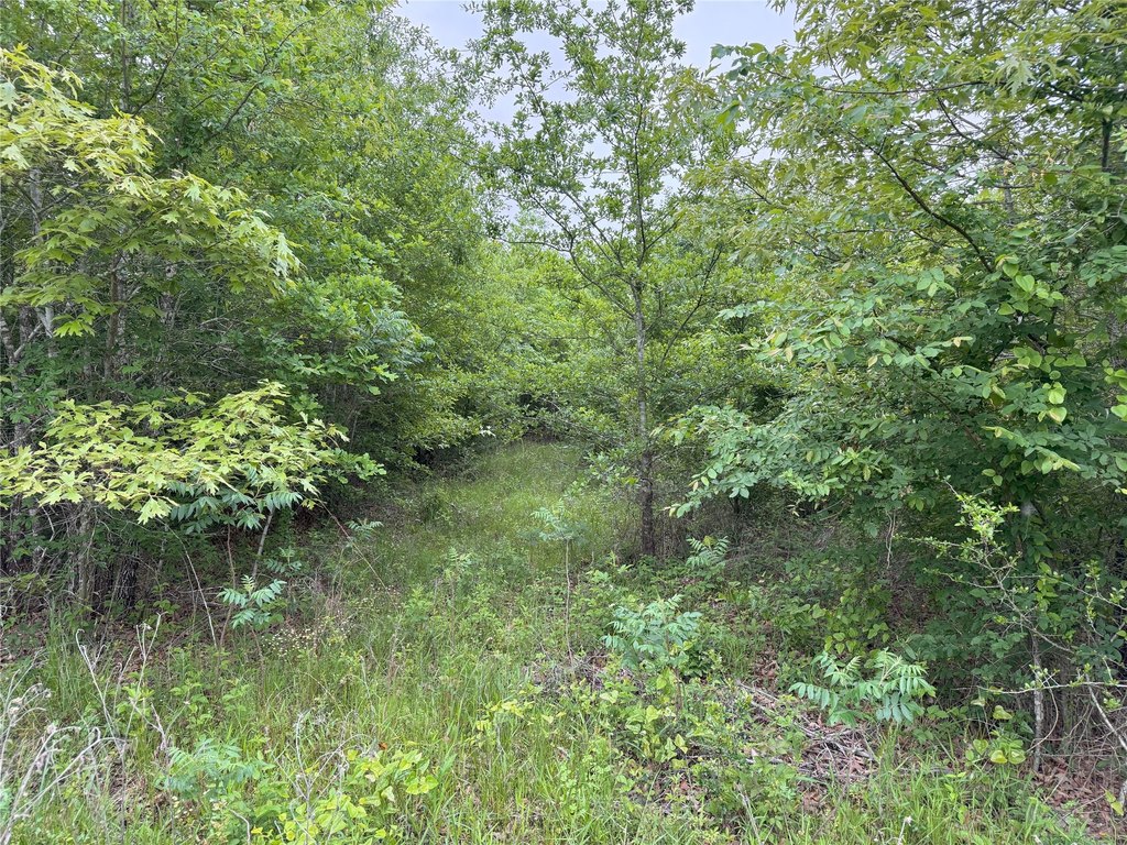 Picture 14