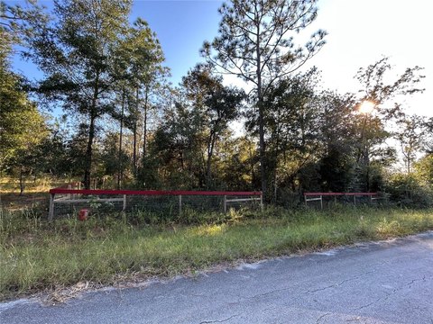Fenced Homesite in Williston, FL
