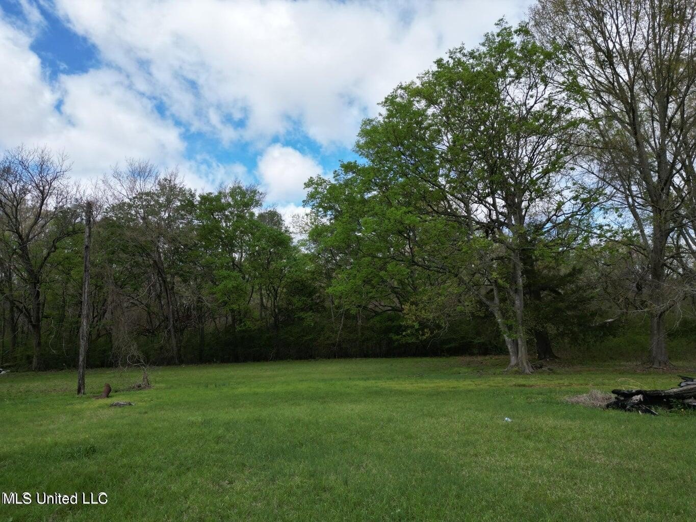 Canton, MS Land Opportunity