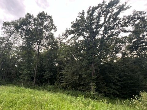Land, Van Meter, IA