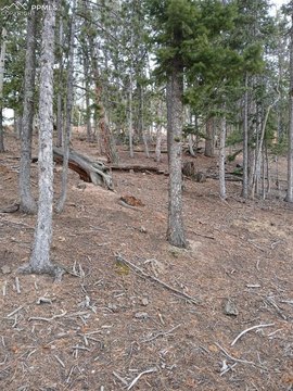 Woodland Park, CO