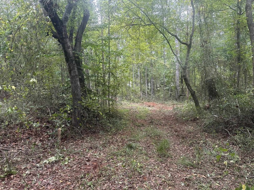 Picture 7