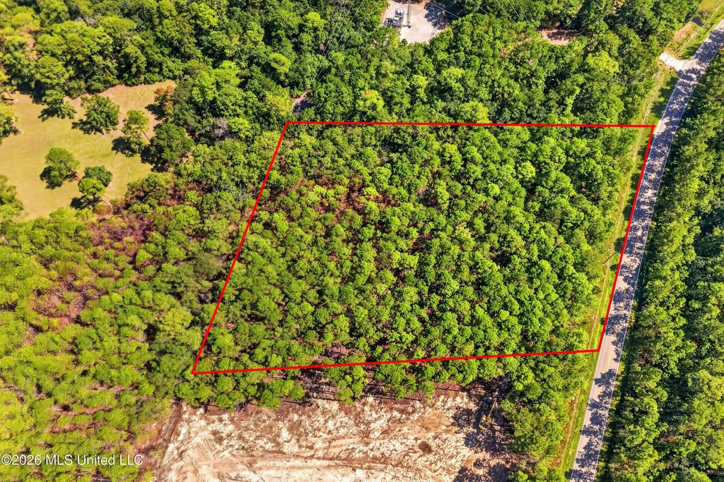 Picture 11