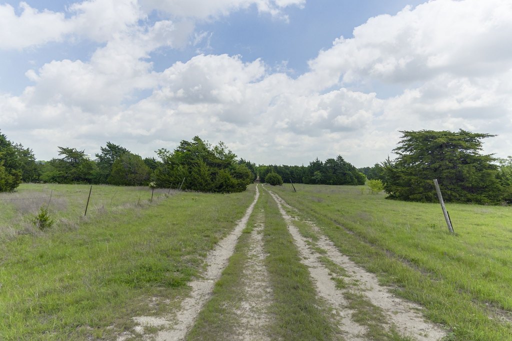 Picture 23