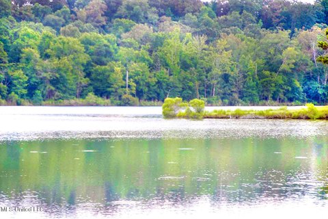 Residential Land in Flora, MS