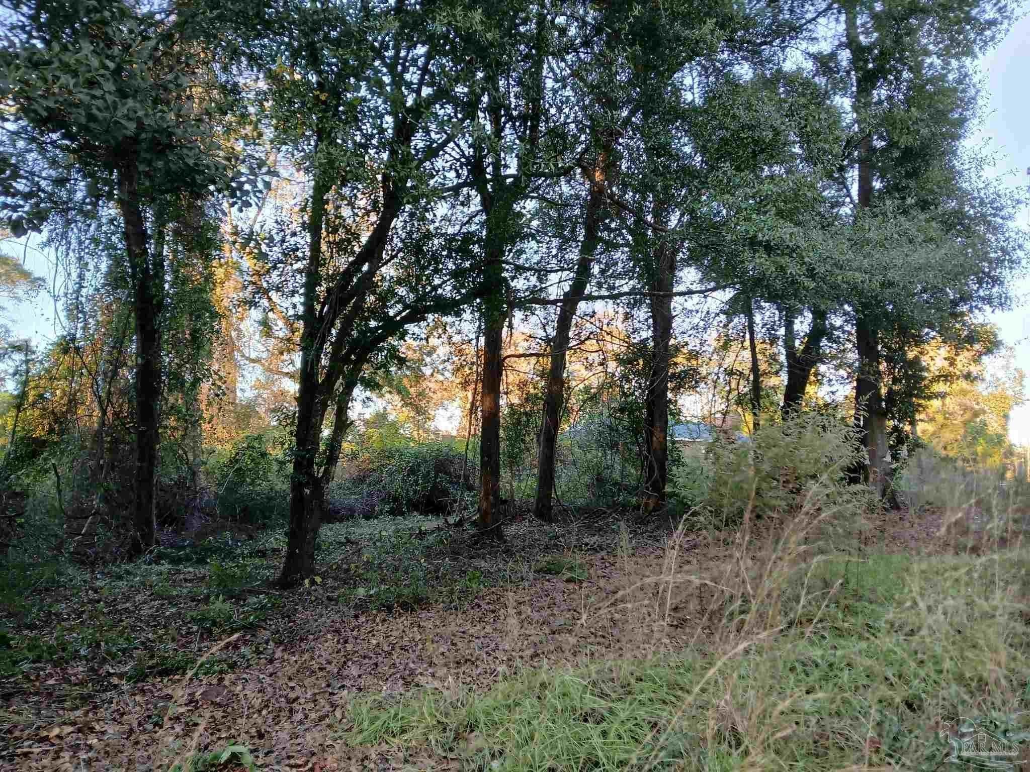 Residential Lot in Century, FL
