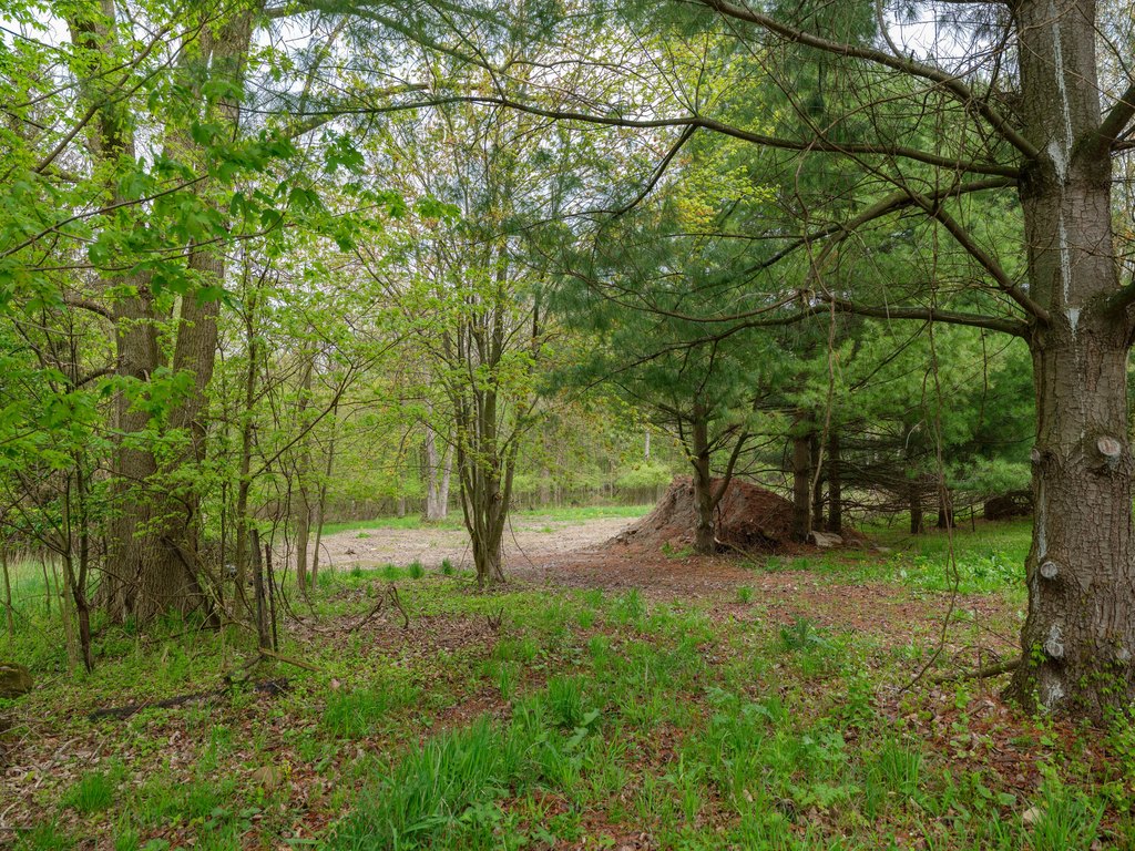 Picture 4