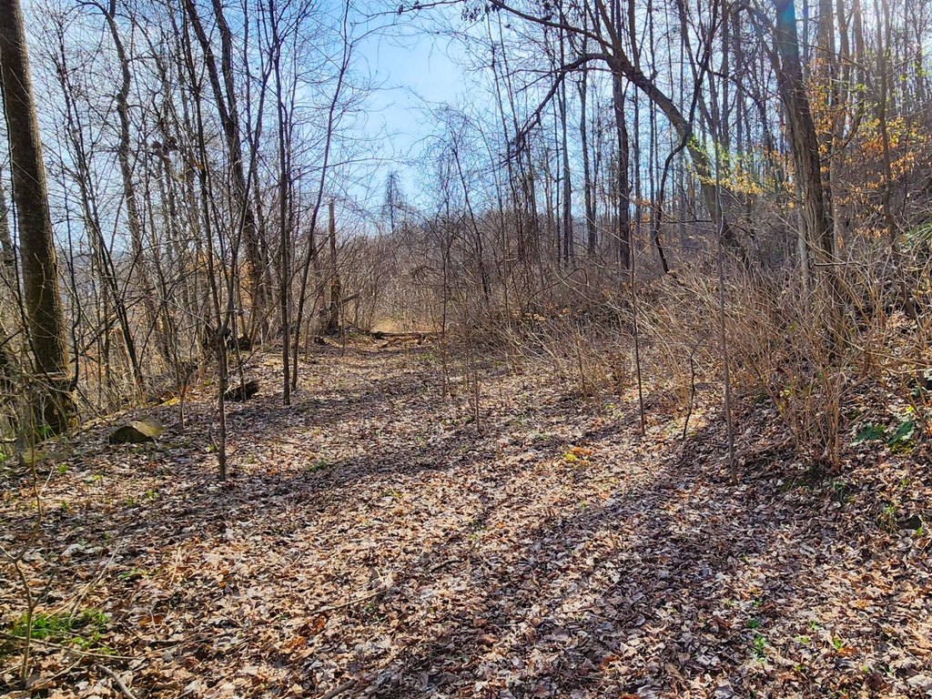 Picture 11