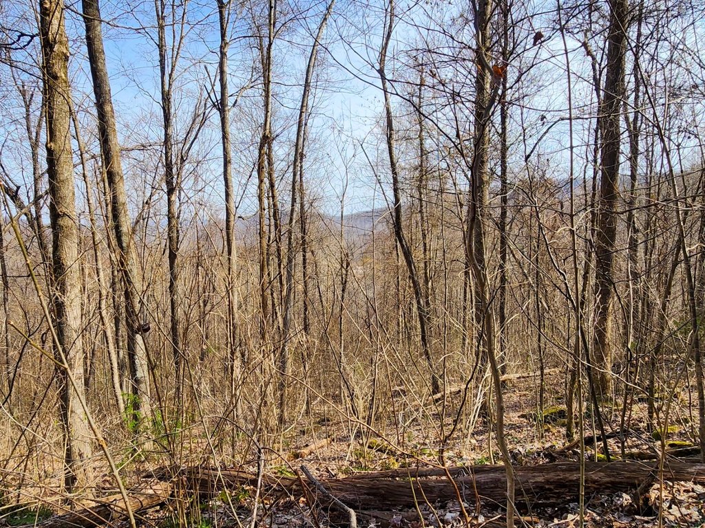 Picture 19