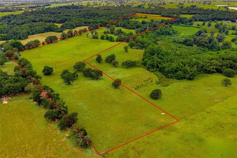 Wooded Acreage Near Palestine, TX