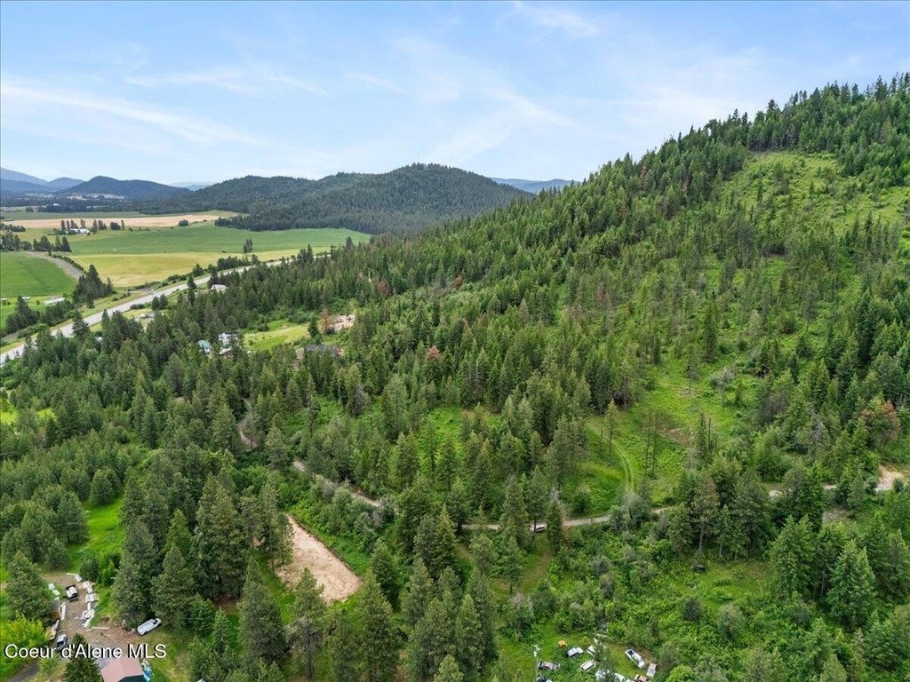 Picture 27