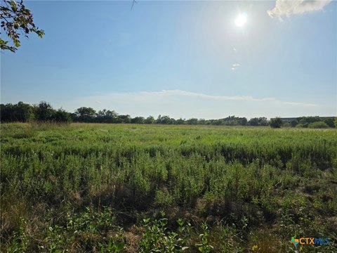 4-Acre Pasture in Groesbeck, TX