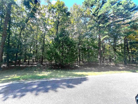Vacant Land, Fairfield Bay, AR
