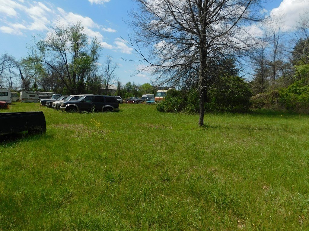 Picture 18