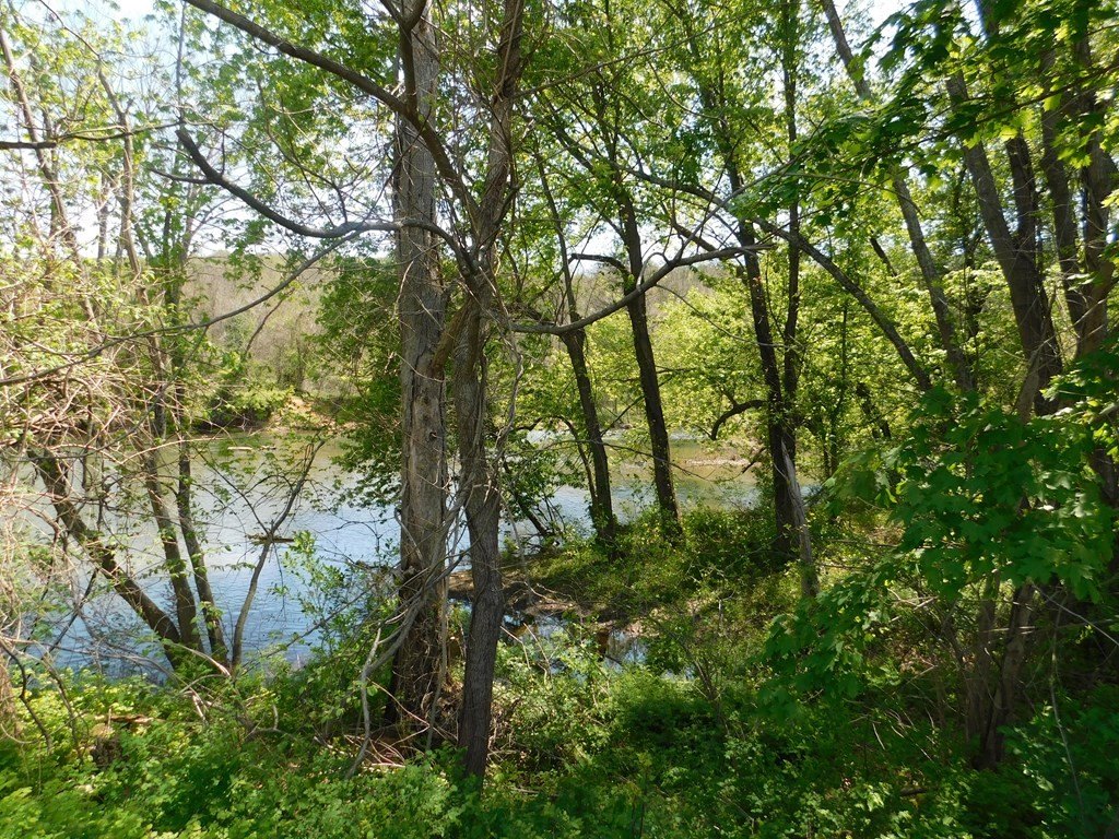 Picture 22