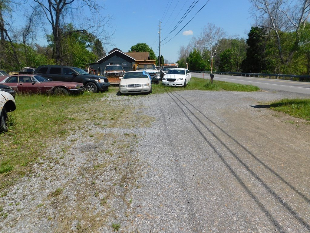 Picture 11