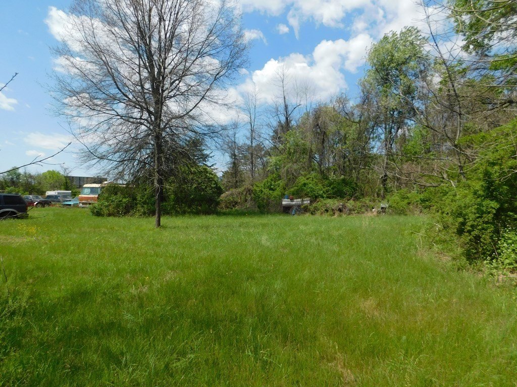 Picture 17