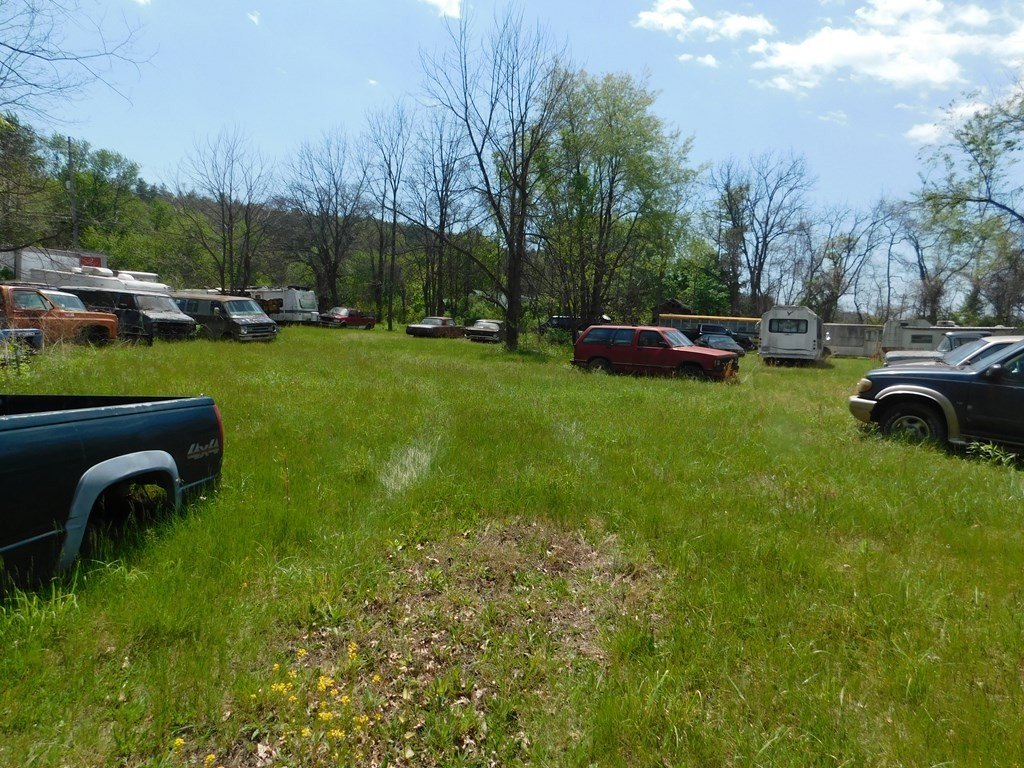 Picture 19