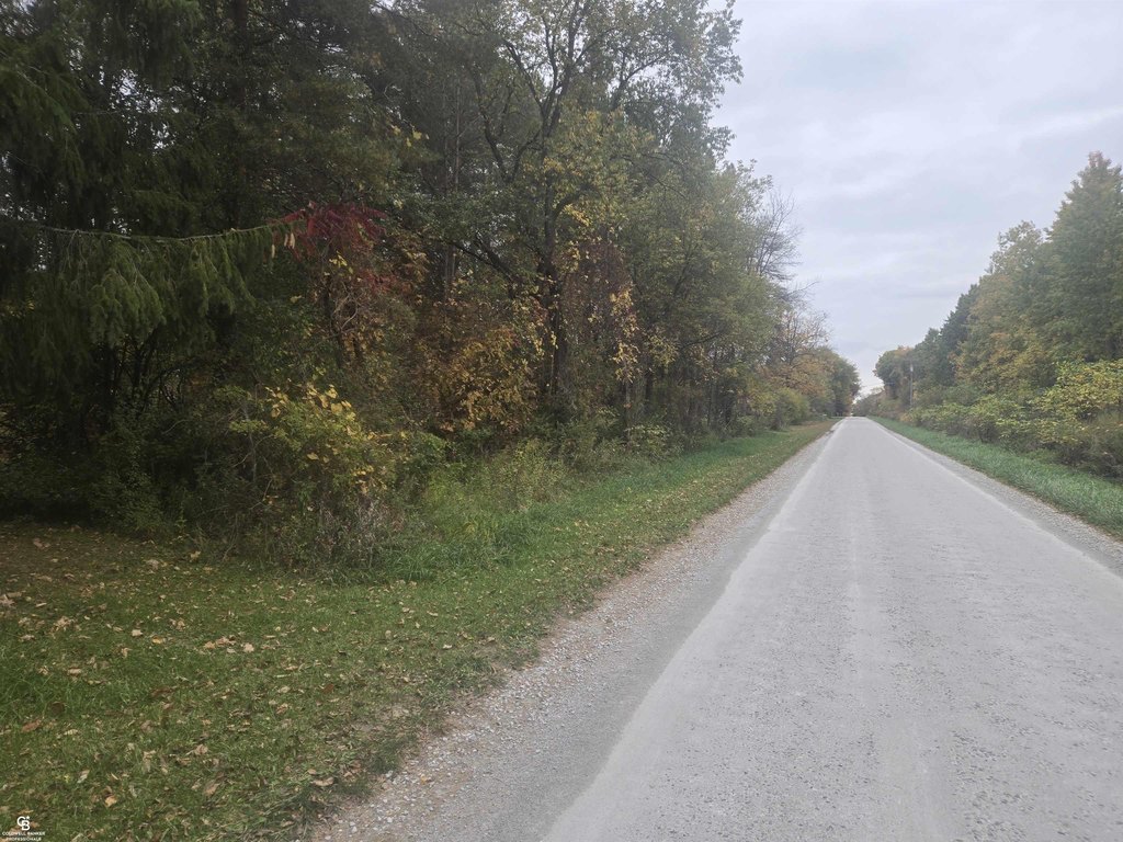 Picture 4