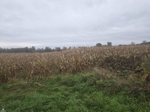 VACANT LAND, Avoca, MI