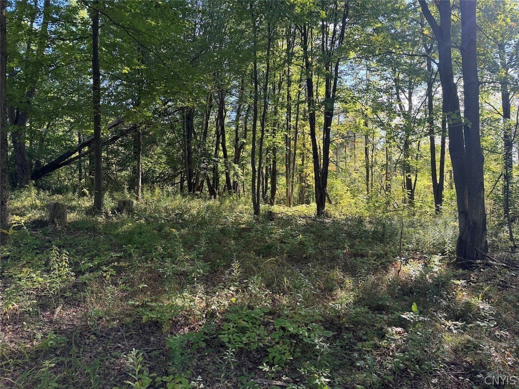 Picture 38