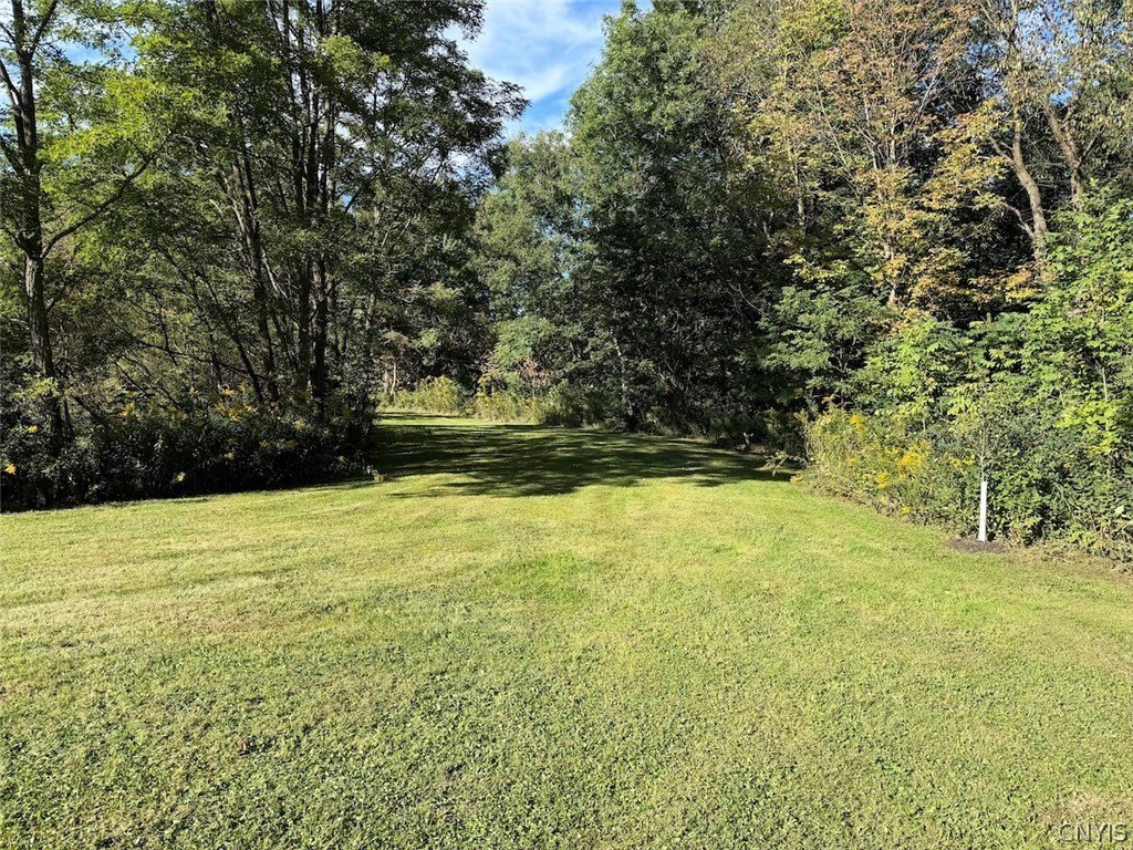 Picture 36