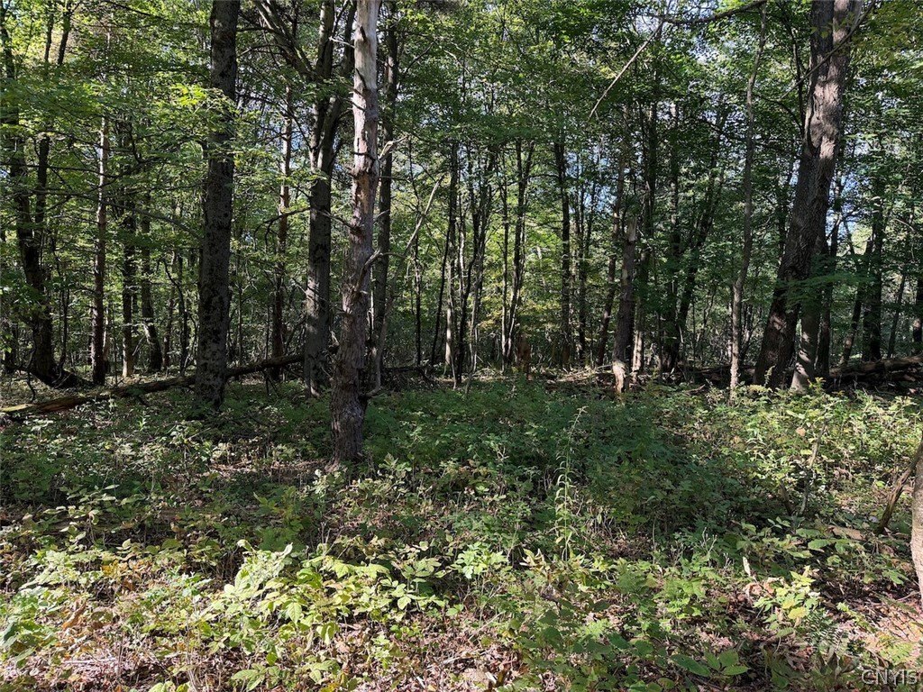 Picture 41
