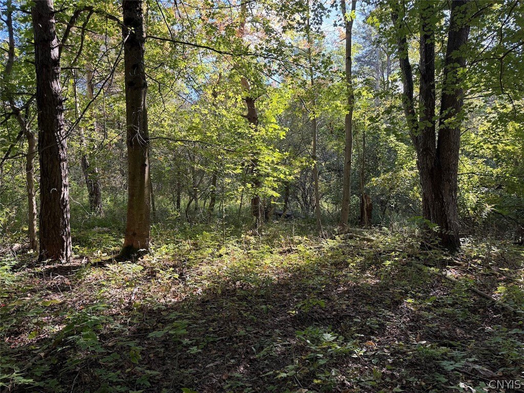 Picture 48